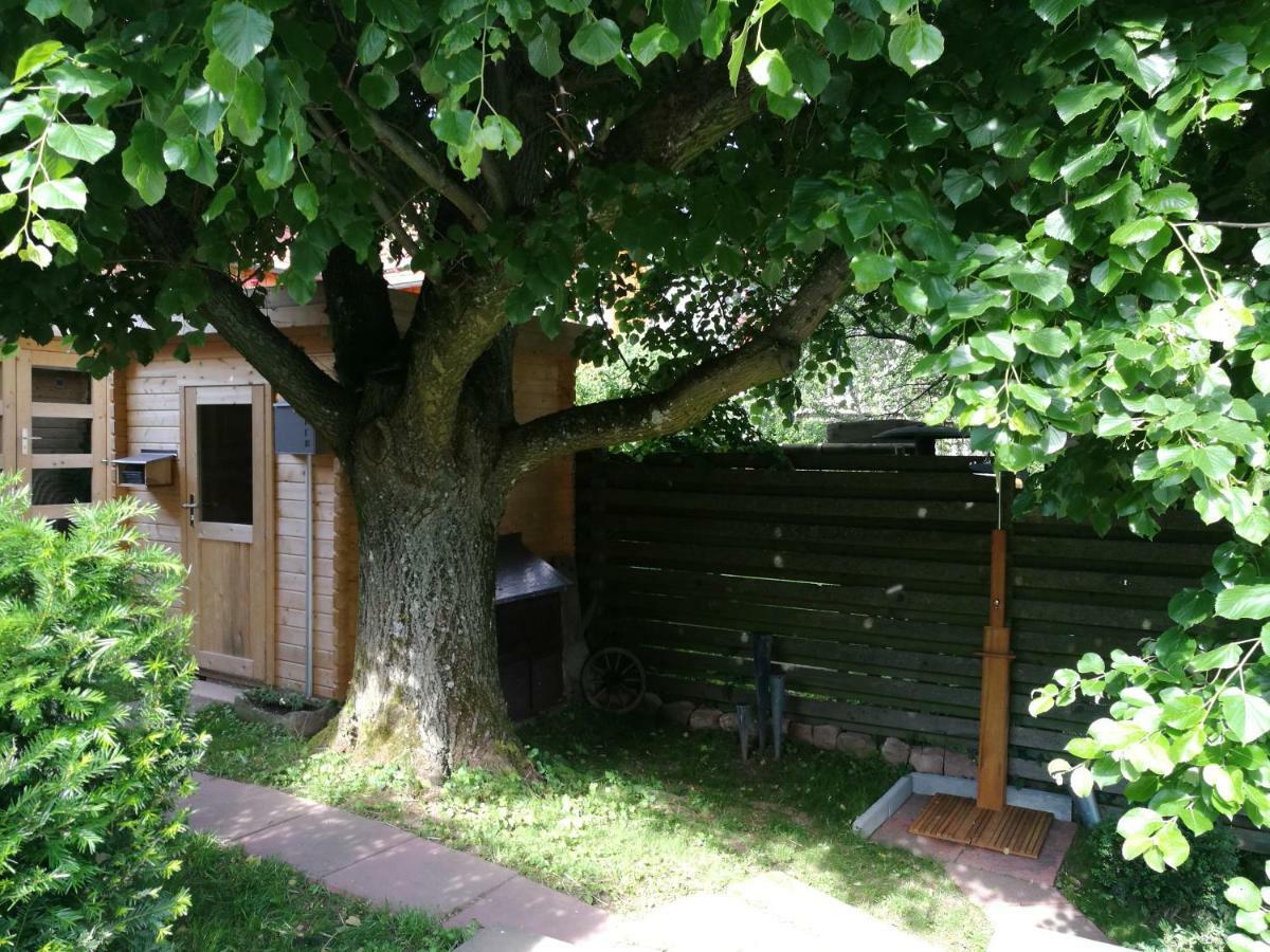 Ferienhaus Glucksmoment Grasellenbach Exteriér fotografie